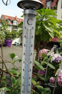 DSC05405 Sommerhitze