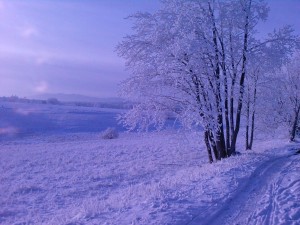 Winter im Harz